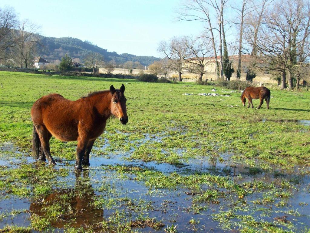 Hotel Rural En Escalante Las Solanas Kültér fotó
